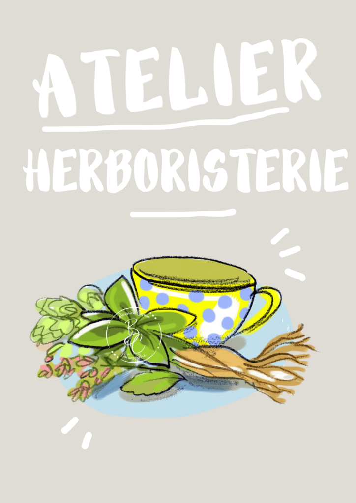 Atelier herboriste